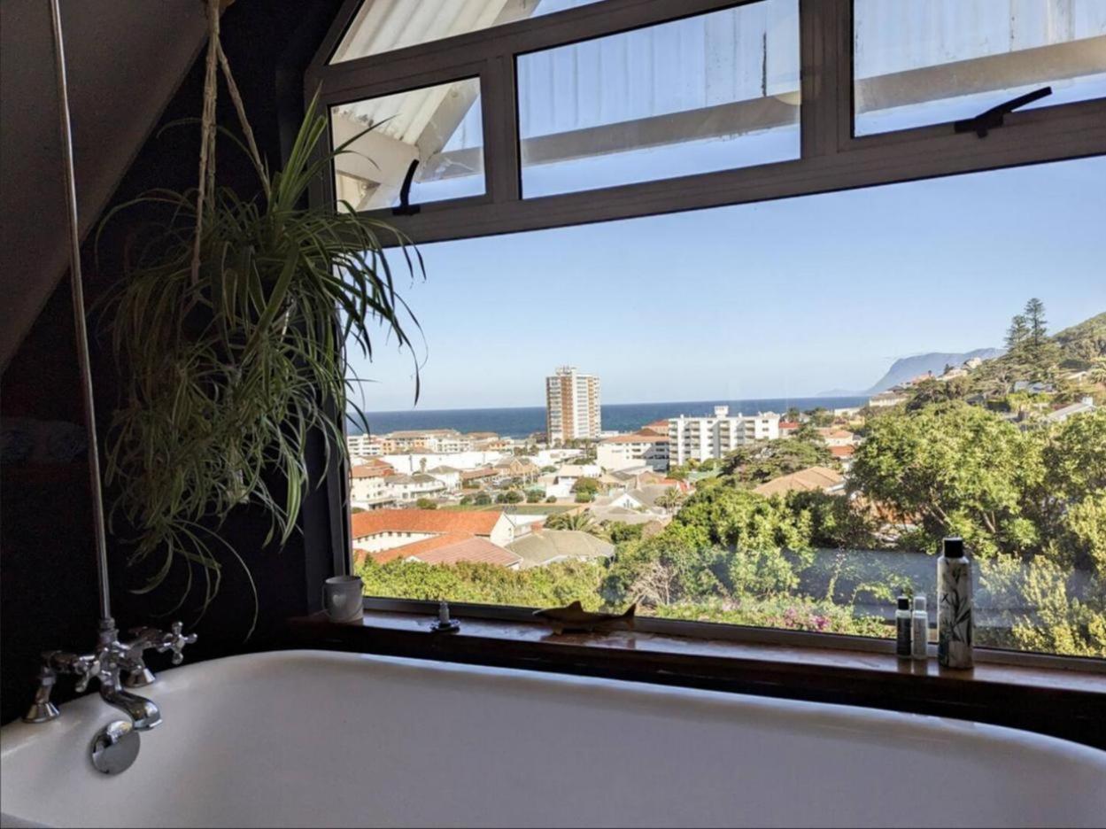 Cape Weaver Muizenberg Zewnętrze zdjęcie
