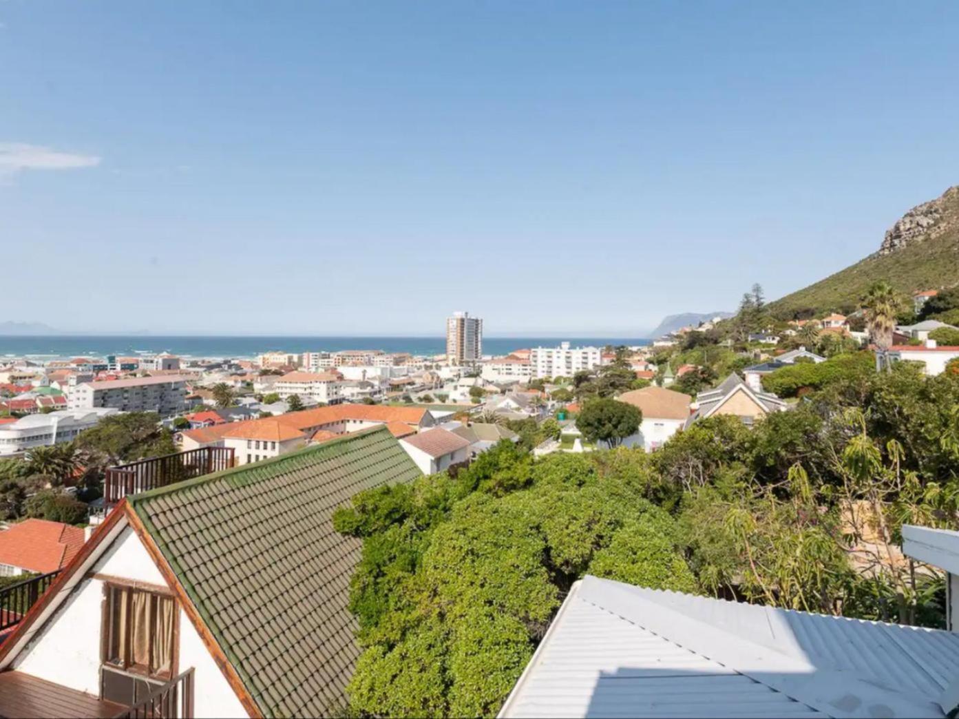 Cape Weaver Muizenberg Zewnętrze zdjęcie